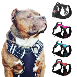 Large Dog Harness