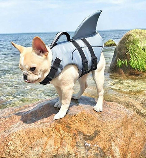 Dog Life Jacket Shark