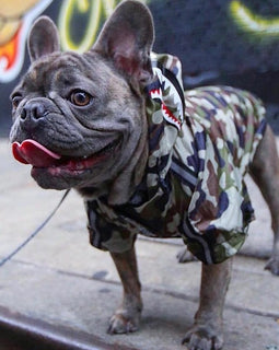 Camo Rain Jacket