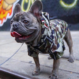 Camo Rain Jacket