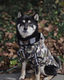 Camo Rain Jacket