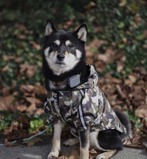 Camo Rain Jacket