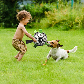 Boy Playing with Dog