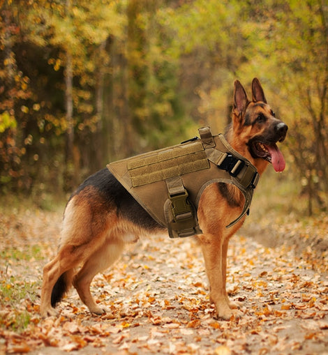 Tactical Dog Vest