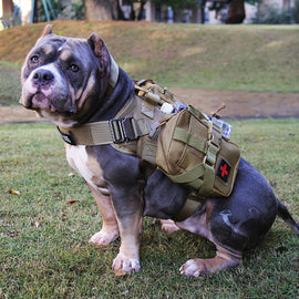 Training Vest