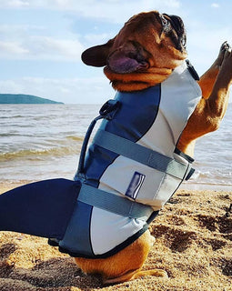 Dog Life Jacket Shark