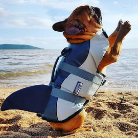 Dog Life Jacket Shark